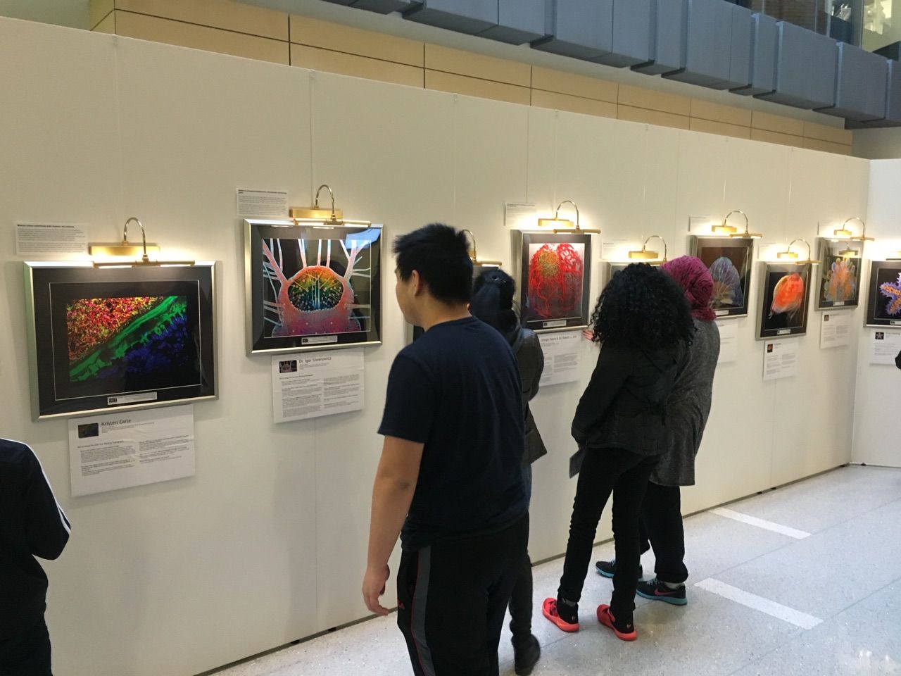 Teva and Karabots students explore the Small Worlds Exhibit at the Wistar Institute