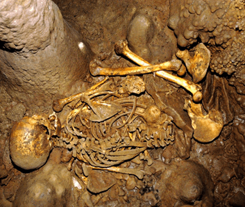 Photograph of the Stone-Age skeleton discovered at La Brana in northern Spain in 2006