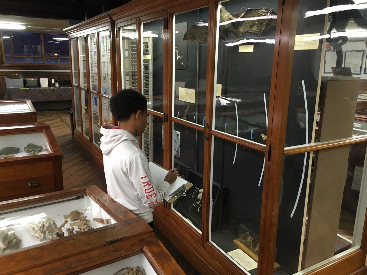 Vashon, a student in the Karabots Junior Fellows Program, sketches a flying fox bat specimen on display at the Wagner Free Institute of Science 