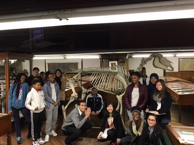 Students in the Karabots Junior Fellows Program pose in front of a skeleton of a draught horse on display at the Wagner Free Institute of Science