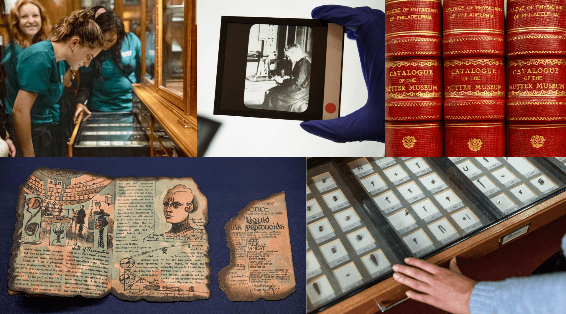 Collage of photographs of items from the Museum and Library collections 