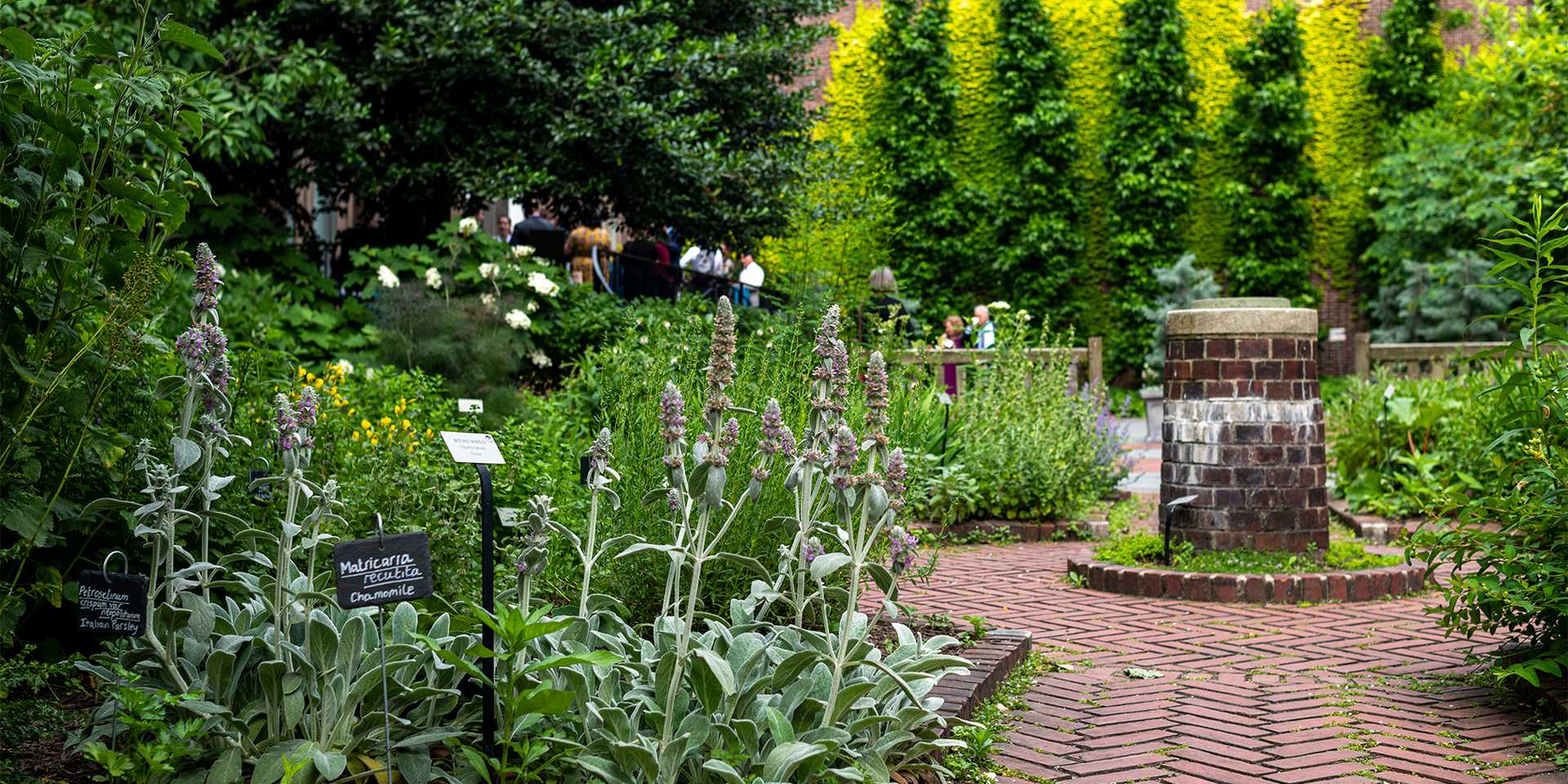 View of garden with flowers and trees with a brick walkway 