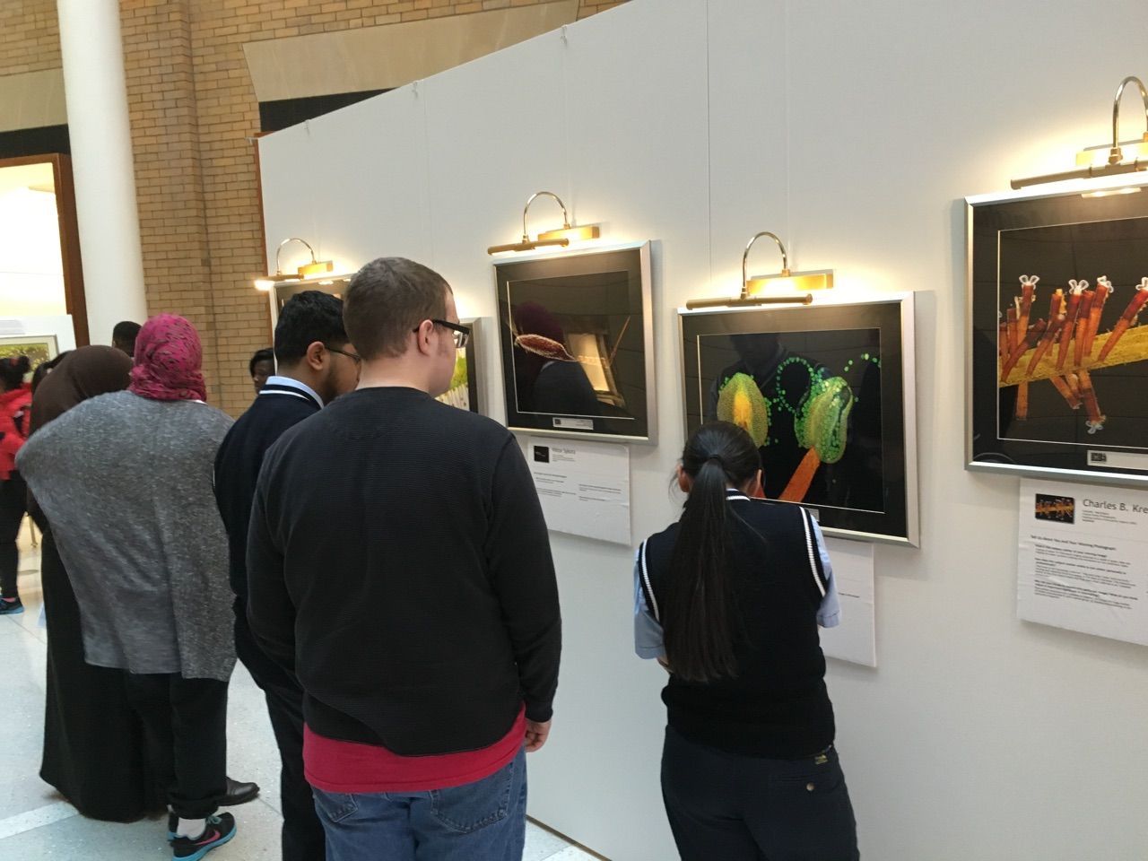 Teva and Karabots students explore the Small Worlds Exhibit at the Wistar Institute